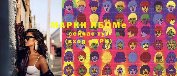 сатива Абинск