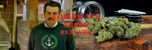 амф Нефтекумск
